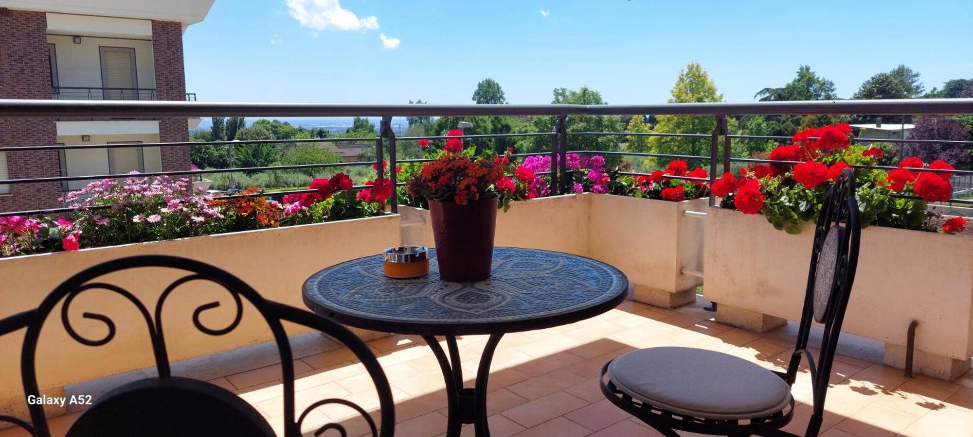 Relax & Business Luxury Apartment Веллетрі Екстер'єр фото